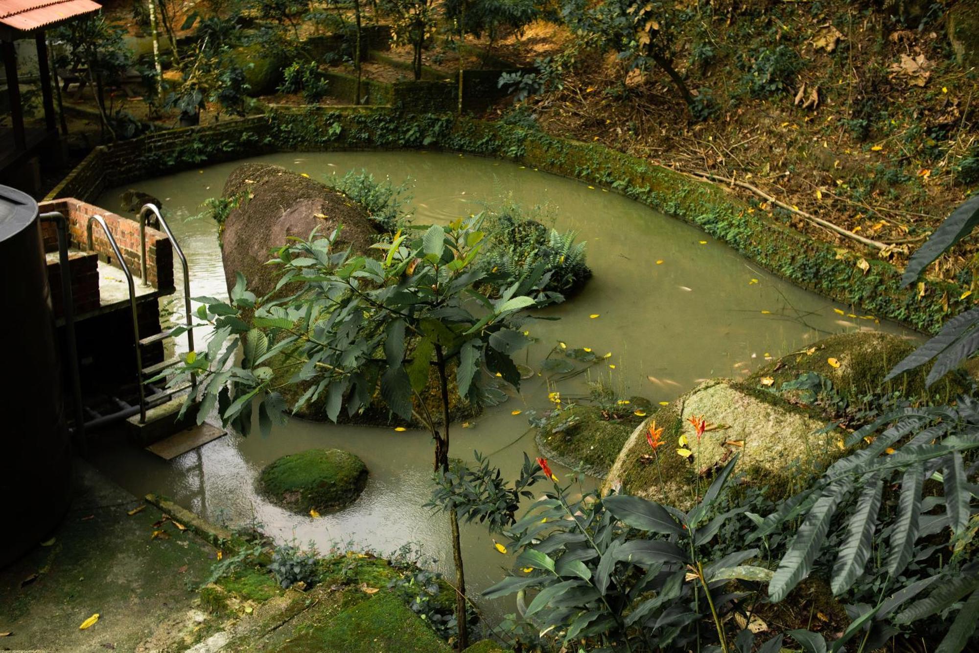 Champaca Villa - Hulu Langat Ngoại thất bức ảnh